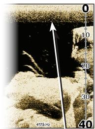 LOWRANCE ELITE 7 M - Surface Clarity - 1