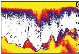 LOWRANCE ELITE 7 M - Conventional sonar and Downscan - 1