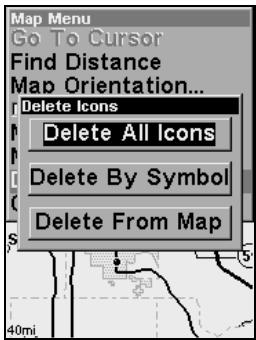 LOWRANCE IFINDER H2O - Delete an Icon - 1