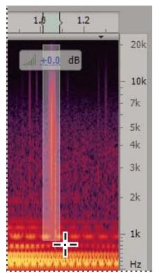 ADOBE SOUNDBOOTH CS5 - Identification visuelle du bruit - 2