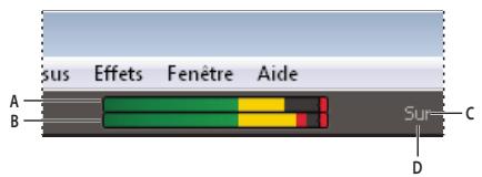 ADOBE SOUNDBOOTH CS5 - Présentation des régles de niveau - 1