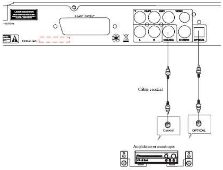 TOKAI DVM-750 - Connexion PERITEL - 1