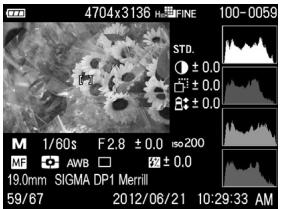SIGMA DP1 MERRILL - MISE EN GARDE!! - 2