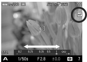 SIGMA DP1 MERRILL - AVERTISSEMENT !! - 1