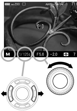 SIGMA DP1 MERRILL - AVERTISSEMENT !! - 1