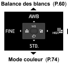 SIGMA DP1 MERRILL - LISTE DES OPTIONS DE PERSONNALISATION - 4