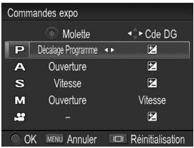 SIGMA DP1 MERRILL - COMMANDES EXPO - 1