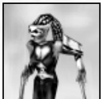 GAMES PC EMPIRE EARTH 1 - Molly Ryan - 1
