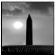 GAMES PC EMPIRE EARTH 1 - Hôtel de ville - 1