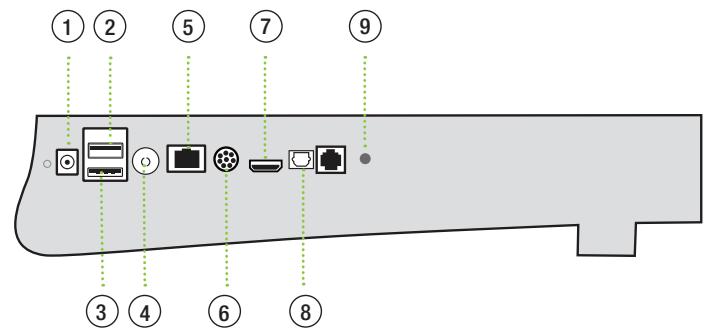 FREE BOX REVOLUTION PLAYER - Connectique du PLAYER - 1