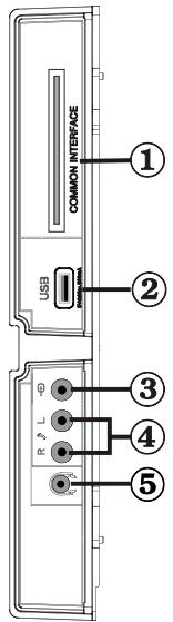 TECHWOOD TKF322016B - Viewing the Connections - Side Connectors - 1