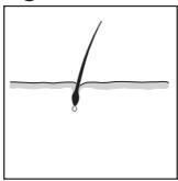 REMINGTON IPL 6000 - ENGLISH - 3