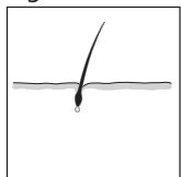 REMINGTON IPL 6000 - PORTUGUES - 3