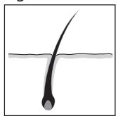 REMINGTON IPL 6000 - DEUTSCH - 1