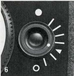 POLAROID EE44 - Garantie. - 7