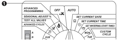 RAIN BIRD ESP MODULAR - Set Controller to AUTO - 1