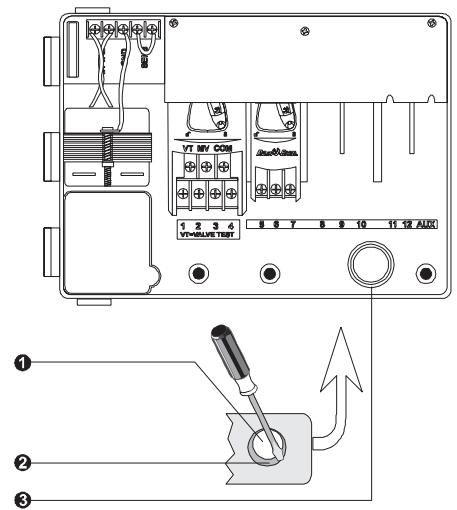 RAIN BIRD ESP MODULAR - Mount Controller Field Wire Entrances - 1
