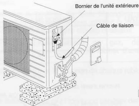 FIRSTLINE FCS12000 - Câblage - 1