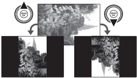 FUJI FINEPIX SL1000 - ROTATION IMAGE - 3