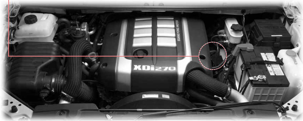 SSANGYONG RODIUS - COMMENT VIDANGER L'EAU DU FILTRE A CARBURANT (EU) DIESEL UNIQUEMENT - 2