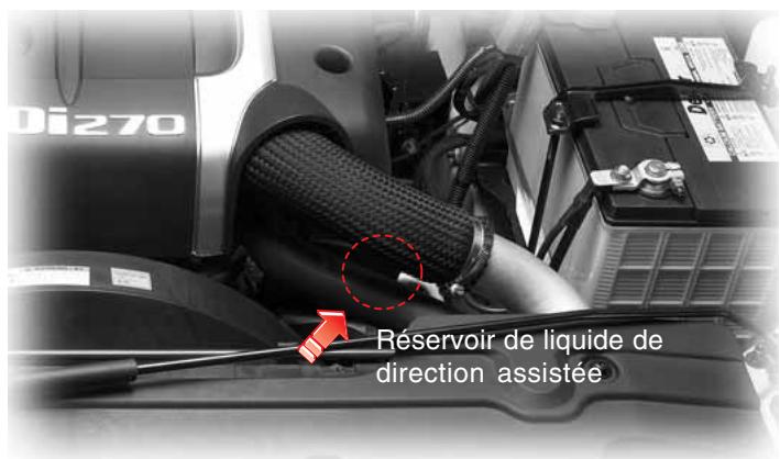 SSANGYONG RODIUS - LIQUIDE DE DIRECTION ASSISTEE - 1