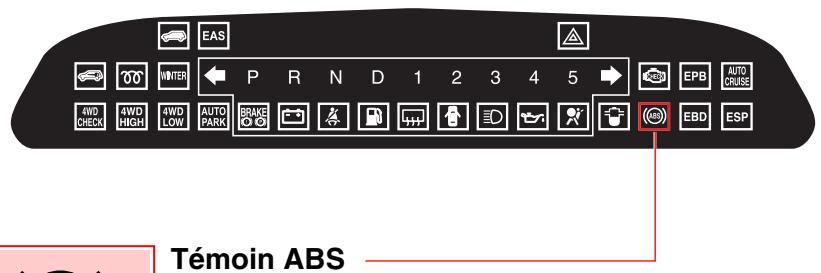 SSANGYONG RODIUS - TEMOINS EN RAPPORT AVEC LES FREINS - 1