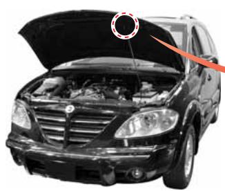 SSANGYONG RODIUS - AVERTISSEMENT - 1