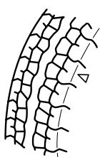 MAZDA CX-7 2012 - PRUDENCE - 1