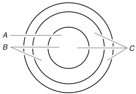 BAUKNECHT G7CE3655 - Élement triple (sur certains modèles) - 1