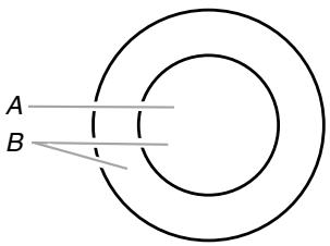 BAUKNECHT G7CE3655 - Élement double - 1