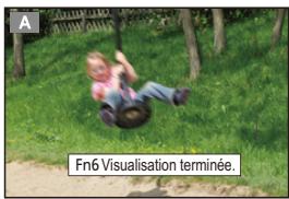 PANASONIC LUMIX DMC-FZ2000 - Appuyez sur [FN6] pour passer entre différents effets de l'écran de prévisualisation. - 3