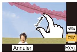 PANASONIC LUMIX DMC-FZ2000 - Effacement des détails (agrandissement de l'affichage) - 1