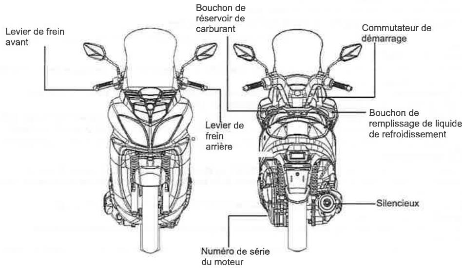 SYM LF18W - RAPPORT DE DEFAULT DE SECURITE - 3