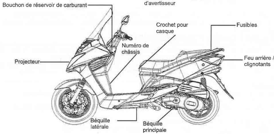 SYM LF18W - RAPPORT DE DEFAULT DE SECURITE - 2