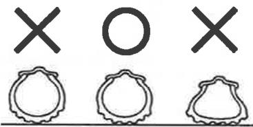 SYM LF18W - INSPECTION DES PNEUS - 1
