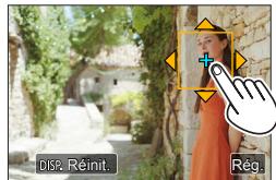 PANASONIC LUMIX DMC-TZ101 - Optimisation de la mise au point et de la luminosité pour une position touchée - 1