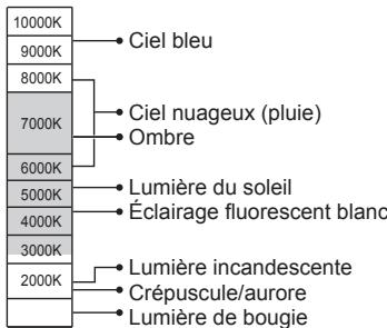PANASONIC LUMIX DMC-TZ101 - Balance des blancs automatique - 1