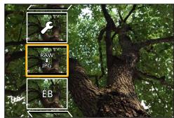 PANASONIC LUMIX DMC-TZ101 - [T100/T101] [Traitement des RAW] - 1