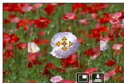 PANASONIC LUMIX DMC-TZ101 - MENU  [Enr.]  [Mode AF] - 1