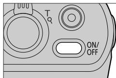 PANASONIC LUMIX DMC-TZ101 - TZ80/TZ81 - 1