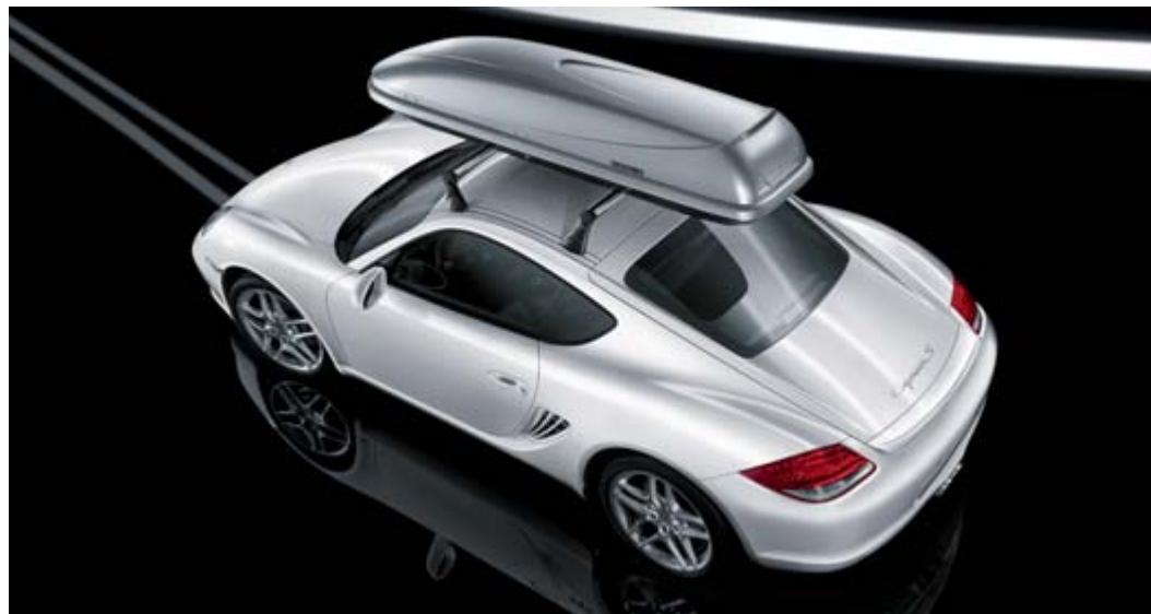 PORSCHE CAYMAN S - Moquette. - 21
