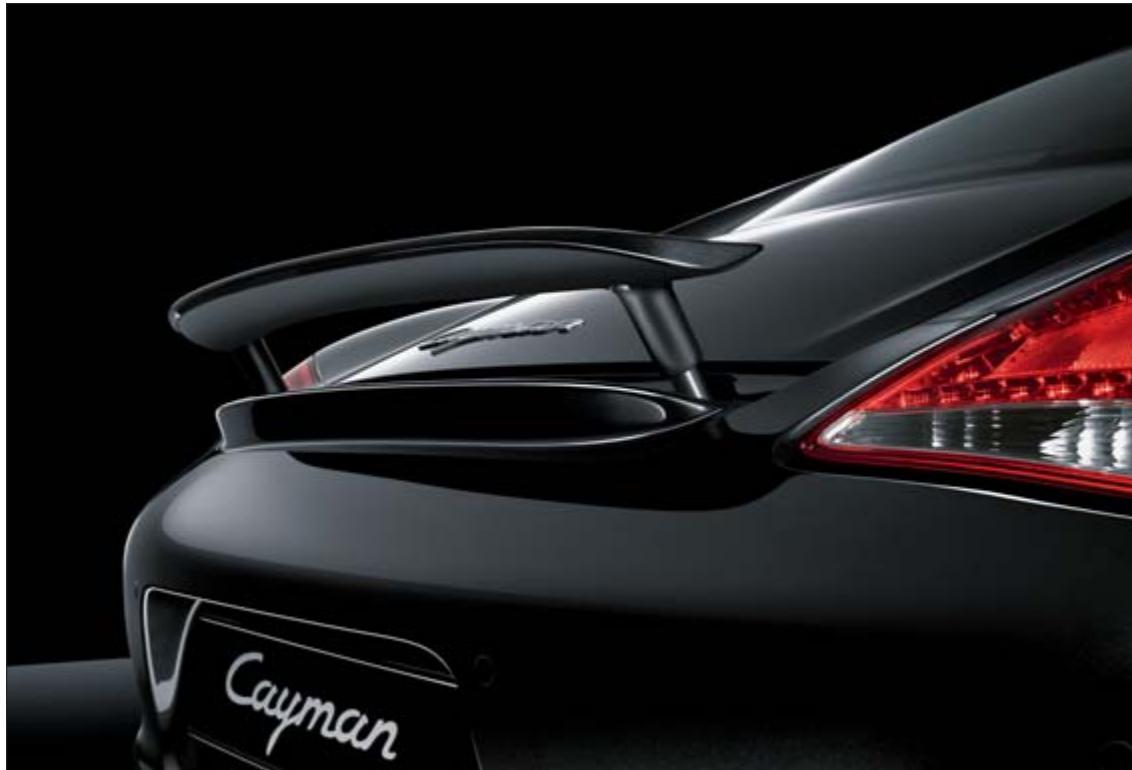 PORSCHE CAYMAN S - Cible visée : - 11
