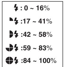 MINOLTA FLASH METER VI - How to read the flash/ambient light ratio - 1