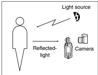 MINOLTA FLASH METER VI - Difference between incident-light and Spot (reflected-light) readings - 2