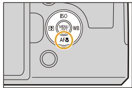 LEICA V-LUX TYP 114 - Prises de vues en gros plan - 1