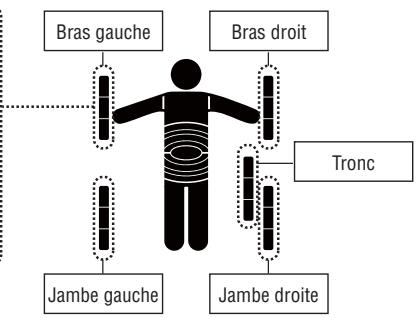TANITA BC-601 - COMMENT VOIR LES RÉSULTATS PAR SEGMENT - 3
