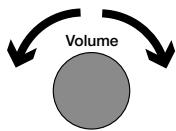 PURE EVOKE D4 MAPLE - Adjusting and muting the volume - 1