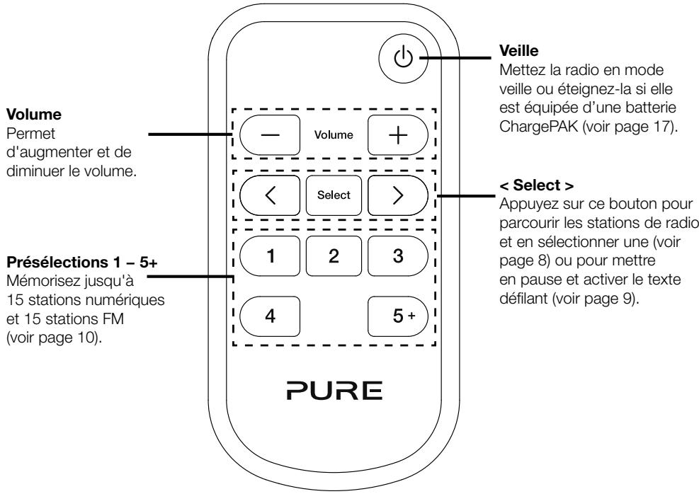 PURE EVOKE D4 MAPLE - Connectique arrière - 3