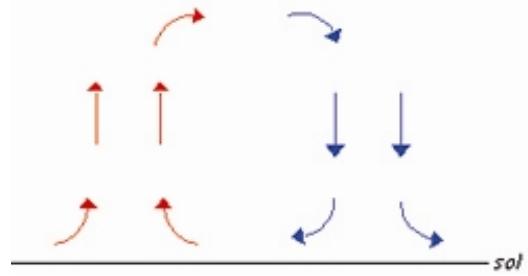 PUR LINE WENGUE - Fonctions - 14