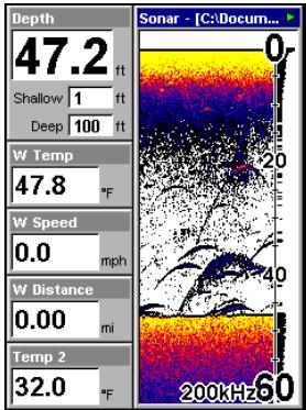 EAGLE FISHELITE 642C IGPS - Ecran avec Données Numériques - 1